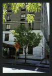 Block 085: Rector Place between South End Avenue and West Street (south side)