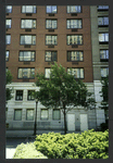 Block 085: Rector Place between South End Avenue and West Street (south side)