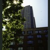 Block 085: Rector Place between South End Avenue and West Street (south side)