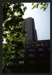 Block 085: Rector Place between South End Avenue and West Street (south side)