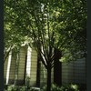Block 085: West Street between Rector Place and West Thames Street (west side)