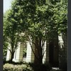 Block 085: West Street between Rector Place and West Thames Street (west side)