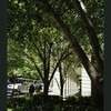 Block 085: West Street between Rector Place and West Thames Street (west side)