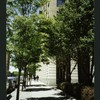 Block 085: West Street between Rector Place and West Thames Street (west side)