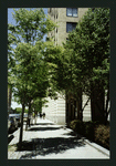 Block 085: West Street between Rector Place and West Thames Street (west side)
