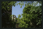 Block 086: West Street between Rector Place and Albany Street (west side)