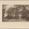 "The Park." Holograph poem, unsigned, undated