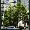 Block 088: Albany Street between South End Avenue and the Hudson River Esplanade (north side)