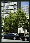 Block 088: Albany Street between South End Avenue and the Hudson River Esplanade (north side)