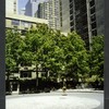 Block 088: Albany Street between South End Avenue and the Hudson River Esplanade (north side)