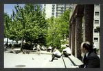 Block 088: Albany Street between South End Avenue and the Hudson River Esplanade (north side)