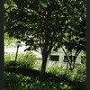 Block 088: The Hudson River Esplanade between Albany Street and Gateway Plaza - Liberty Street (east side)
