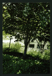 Block 088: The Hudson River Esplanade between Albany Street and Gateway Plaza - Liberty Street (east side)
