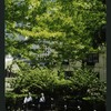 Block 088: The Hudson River Esplanade between Albany Street and Gateway Plaza - Liberty Street (east side)