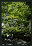 Block 088: The Hudson River Esplanade between Albany Street and Gateway Plaza - Liberty Street (east side)