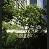 Block 088: The Hudson River Esplanade between Albany Street and Gateway Plaza - Liberty Street (east side)
