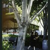 Block 088: The Hudson River Esplanade between Albany Street and Gateway Plaza - Liberty Street (east side)