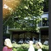 Block 088: The Hudson River Esplanade between Albany Street and Gateway Plaza - Liberty Street (east side)