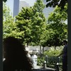 Block 088: The Hudson River Esplanade between Albany Street and Gateway Plaza - Liberty Street (east side)