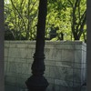 Block 088: Gateway Plaza - Liberty Street between the Hudson River Esplanade and South End Avenue (south side)