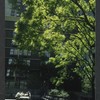 Block 088: Gateway Plaza - Liberty Street between the Hudson River Esplanade and South End Avenue (south side)