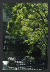 Block 088: Gateway Plaza - Liberty Street between the Hudson River Esplanade and South End Avenue (south side)