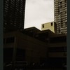 Block 088: South End Avenue between Liberty Street and Albany Street (west side)