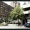 Block 088: South End Avenue between Liberty Street and Albany Street (west side)