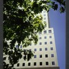 Block 089: Albany Street between West Street and South End Avenue (north side)