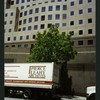 Block 089: Albany Street between West Street and South End Avenue (north side)