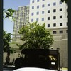 Block 089: Albany Street between West Street and South End Avenue (north side)