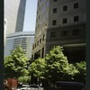 Block 089: South End Avenue between Albany Street and Liberty Street (east side)