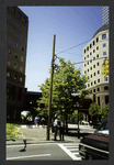 Block 089: West Street between Liberty Street and Albany Street (west side)