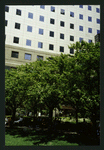 Block 090: Gateway Plaza - South End Avenue between Liberty Street and North Cove Yacht Harbor (north side 7 photos) (east side 4 photos)
