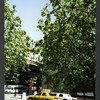 Block 090: North End Avenue between North Cove Yacht Harbor and Vesey Street (east side)