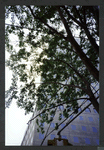Block 090: Vesey Street between North End Avenue and West Street (south side)