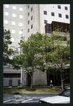Block 090: West Street between Vesey Street and Liberty Street (west side)
