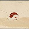 Shelby, Maria L., ALS to. Jun. 27, 1853.