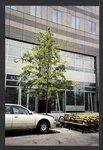 Block 091: Vesey Street between Hudson River Esplanade and North End Avenue (south side)