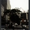 Block 093: West Street between Murray Street and Vesey Street (west side)