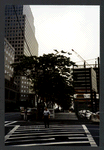 Block 093: West Street between Murray Street and Vesey Street (west side)