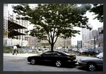 Block 093: Vesey Street between West Street and North End Avenue (north side)