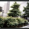 Block 094: River Terrace between Murray Street and southern end of block 94 (east side)
