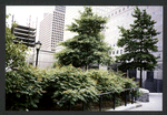 Block 094: River Terrace between Murray Street and southern end of block 94 (east side)