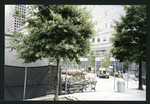 Block 094: River Terrace between Murray Street and southern end of block 94 (east side)