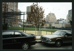 Block 096: Murray Street between North End Avenue and West Street (north side)