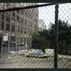 Block 096: North End Avenue between Warren Street and Murray Street (east side)