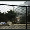 Block 096: North End Avenue between Warren Street and Murray Street (east side)