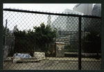 Block 096: North End Avenue between Warren Street and Murray Street (east side)