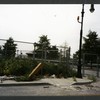 Block 097: Park Place between North End Avenue and River Terrace (south side)